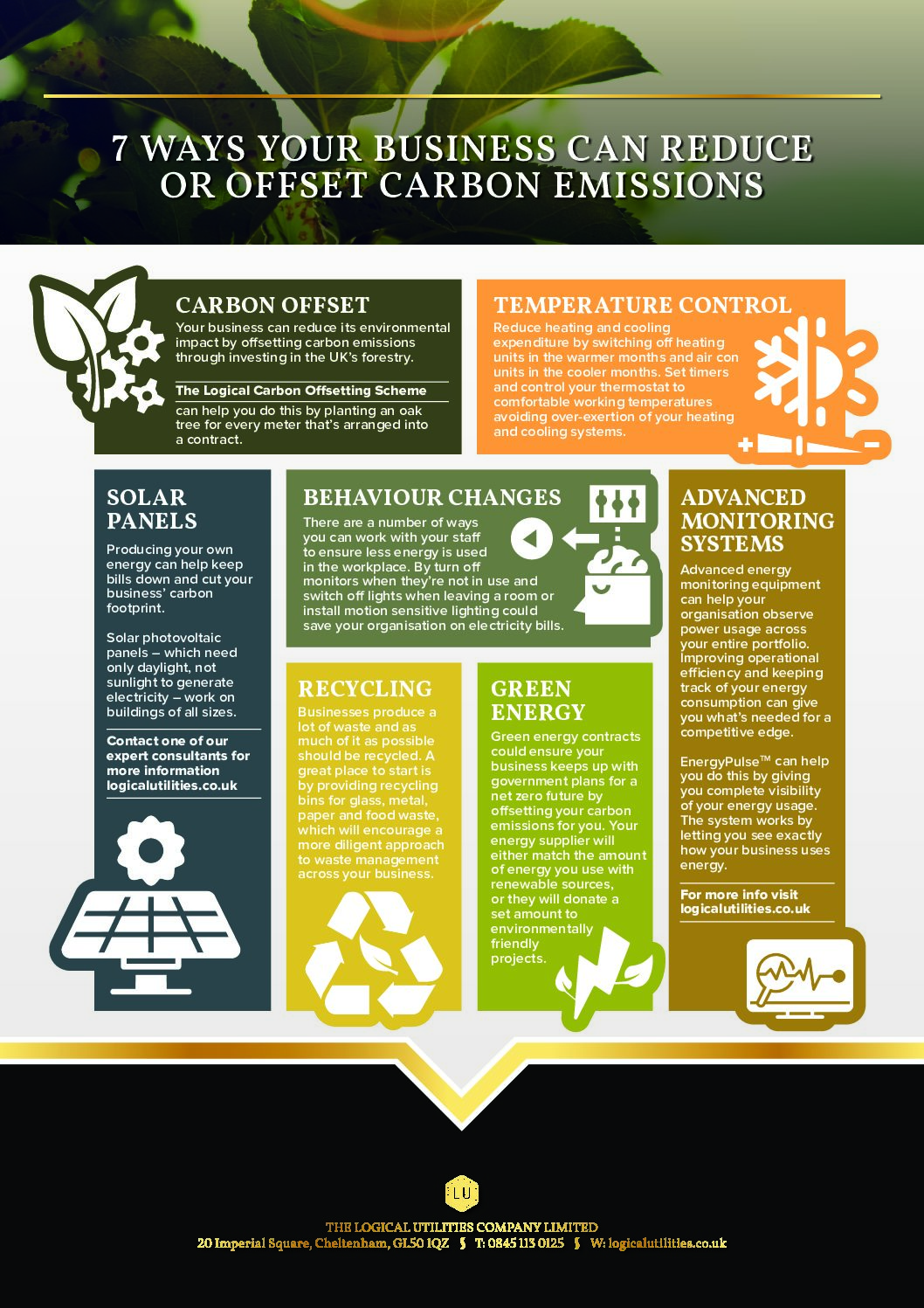 LU1909 7 ways your business can offset carbon emissions