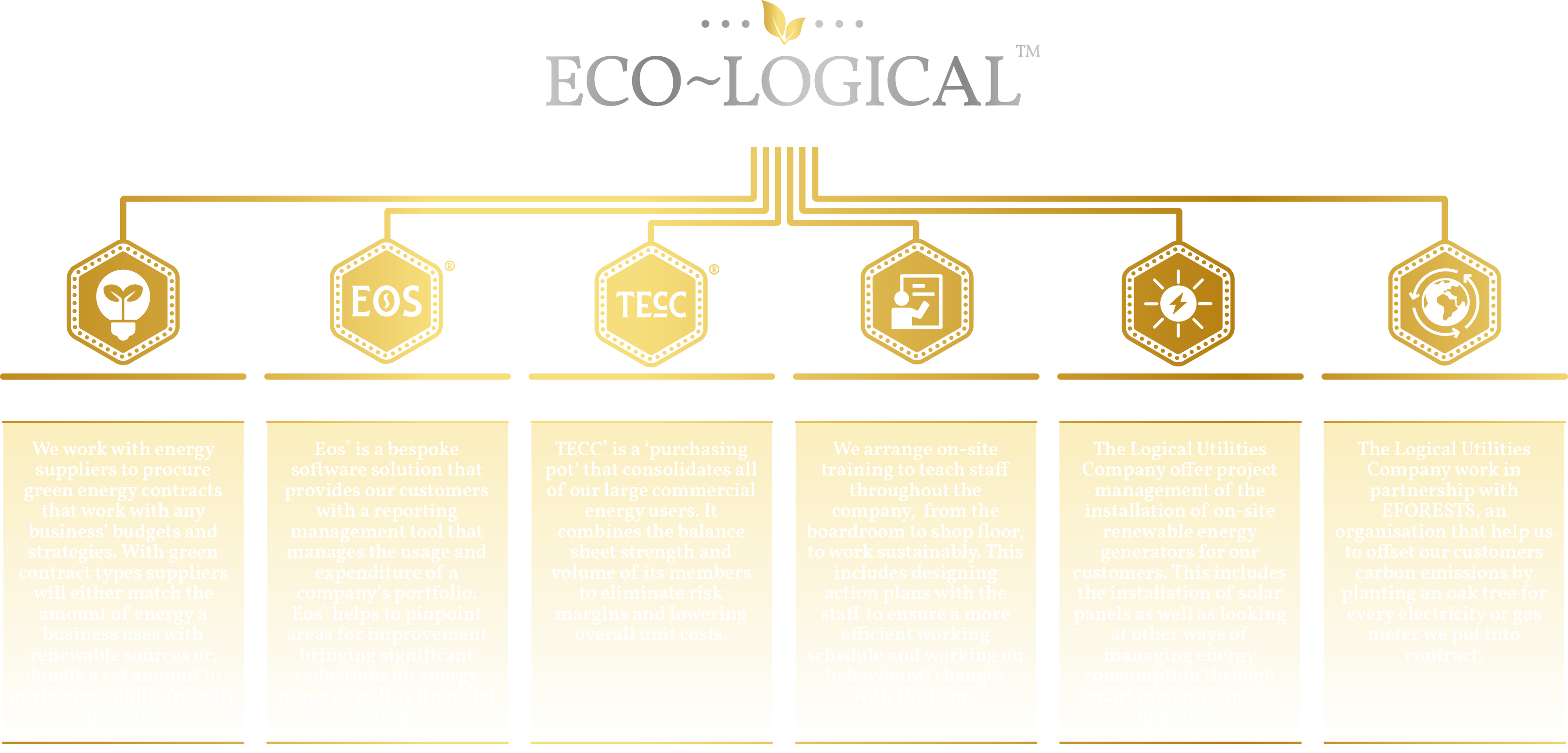 LU2021.07 Sustainability Initiative (Black BG)