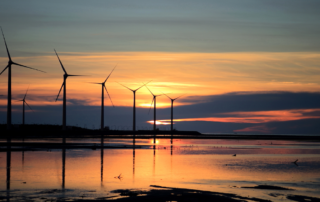 Sunset over a renewable energy wind farm